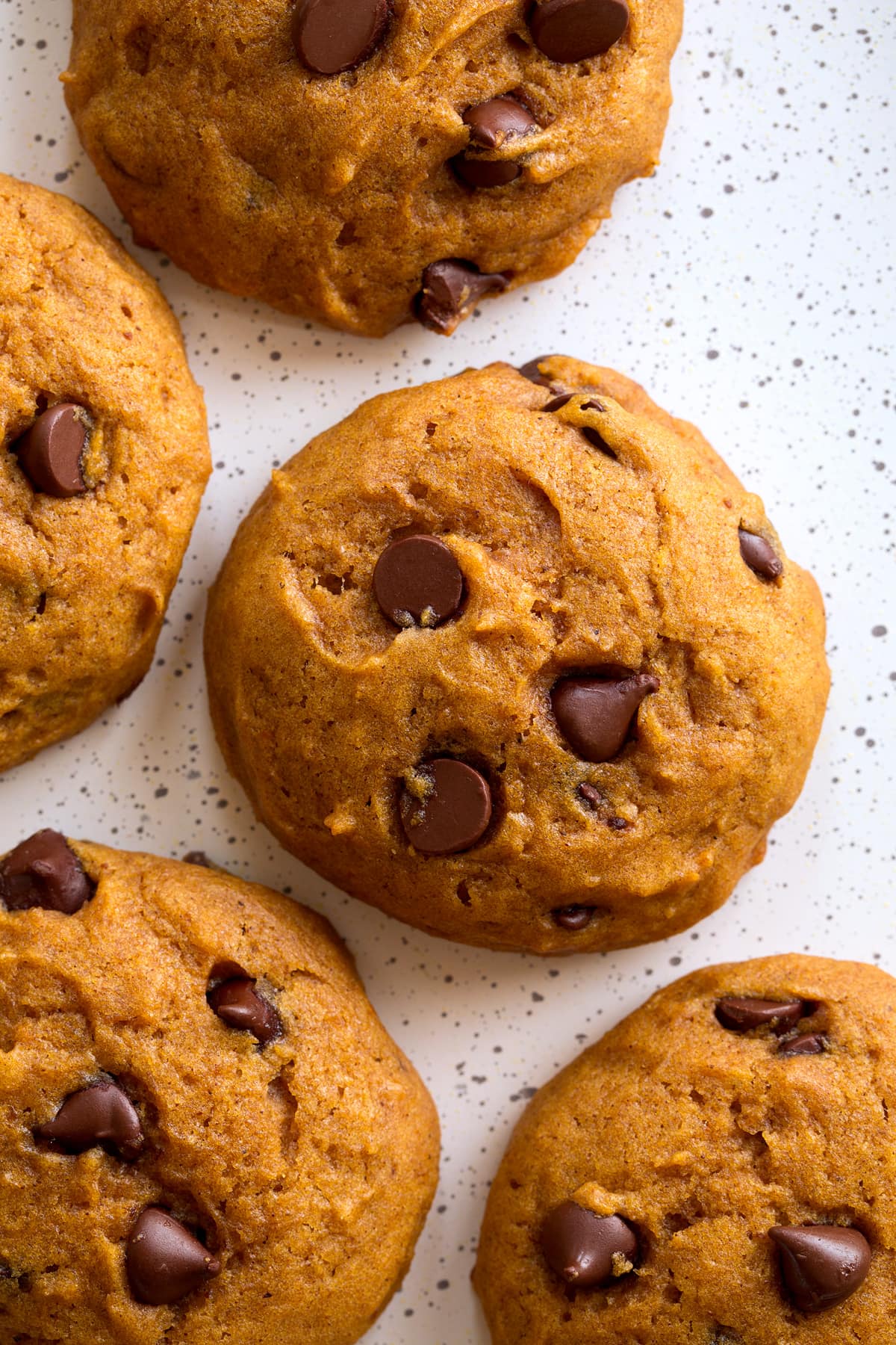 Pumpkin Chocolate Chip Cookies