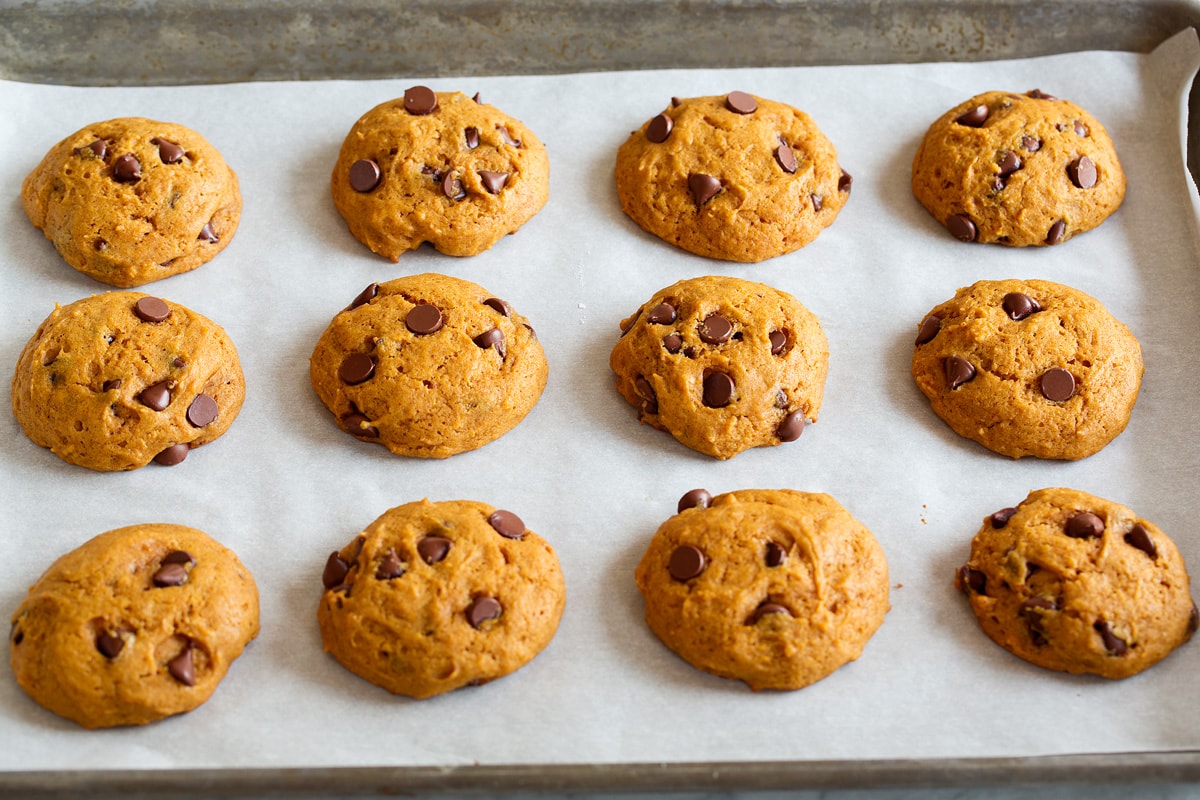 Pumpkin Chocolate Chip Cookies