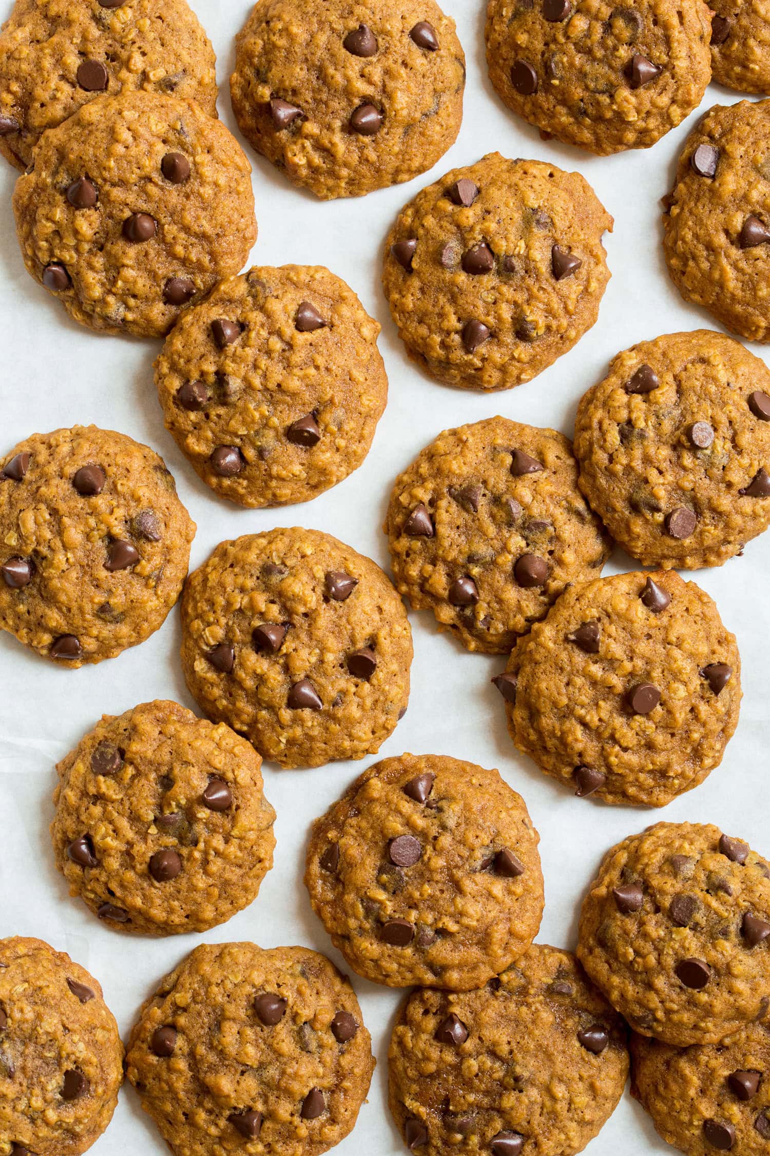 Pumpkin Oatmeal Chocolate Chip Cookies