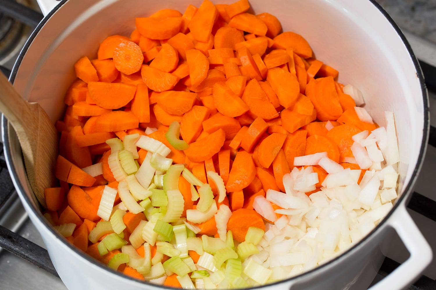 Carrot Soup