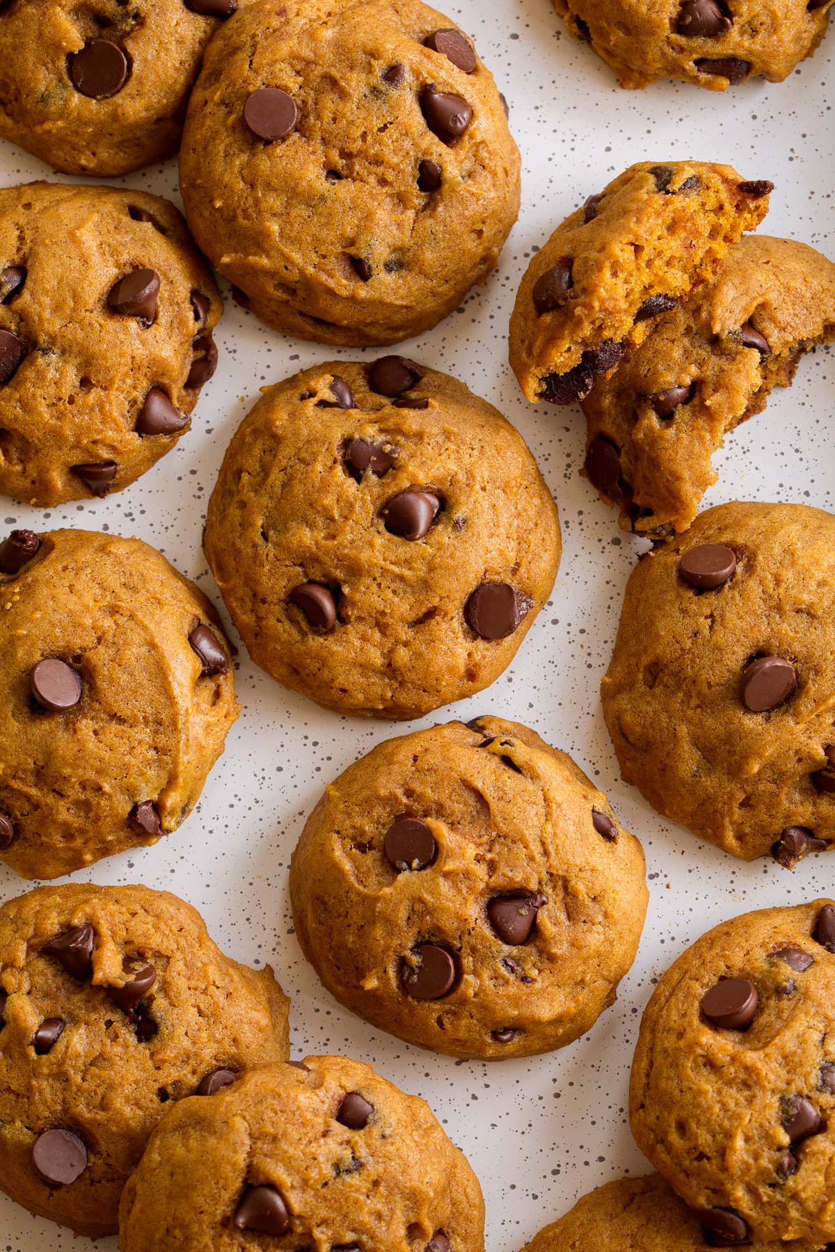 Pumpkin Chocolate Chip Cookies