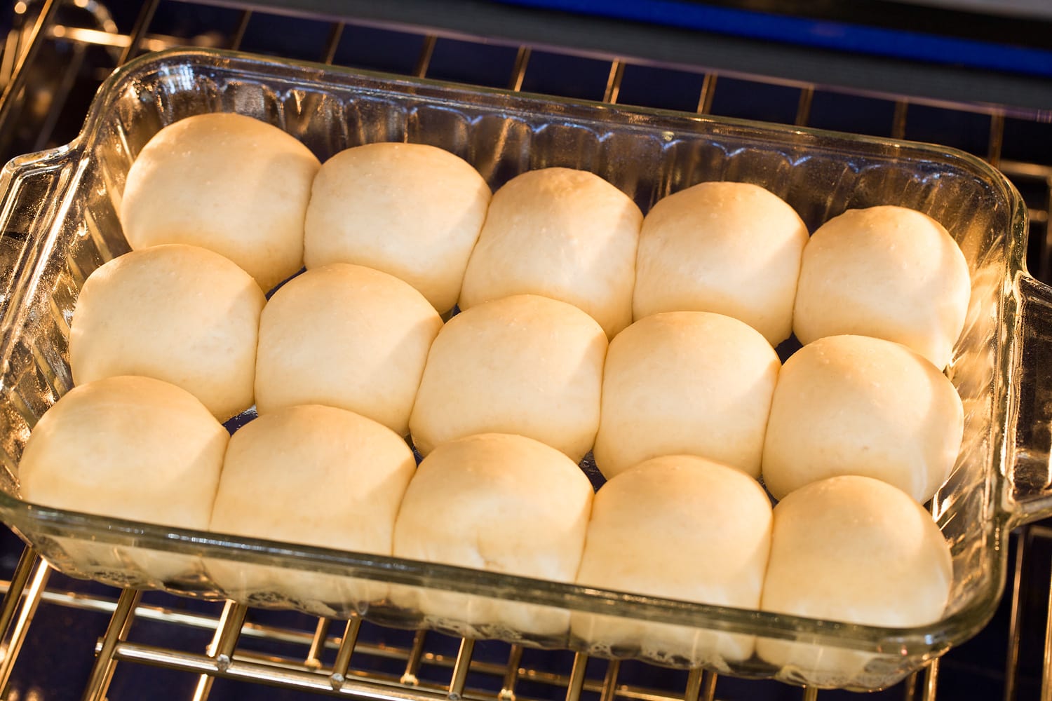 Easy One-Hour Dinner Rolls