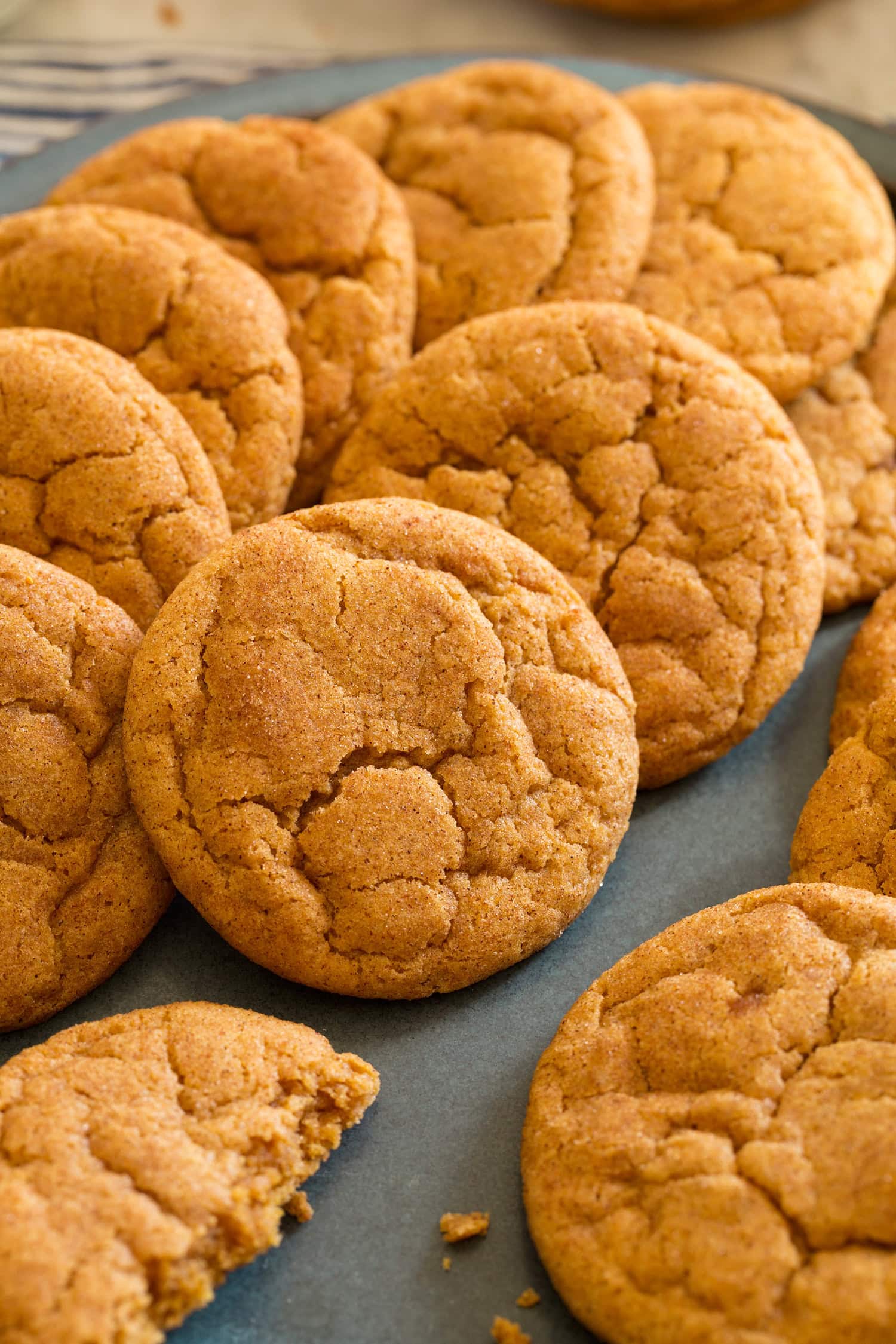 Pumpkin Snickerdoodles