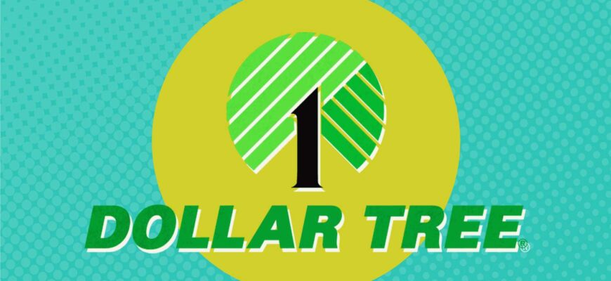 Dollar Tree’s Latest $1.25 Find Is Identical to Walmart’s for 85% Less