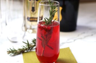 Holly Berry Fizz