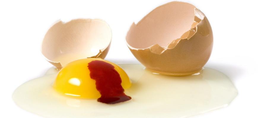 Is It Safe to Eat Eggs with Blood Spots?