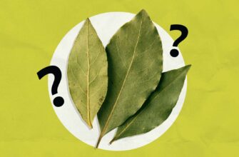 A Chef Finally Settles the Debate: Do Bay Leaves Even Do Anything?