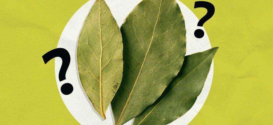 A Chef Finally Settles the Debate: Do Bay Leaves Even Do Anything?