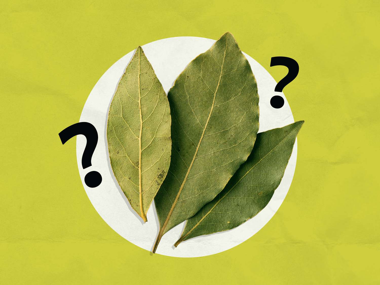 A Chef Finally Settles the Debate: Do Bay Leaves Even Do Anything?