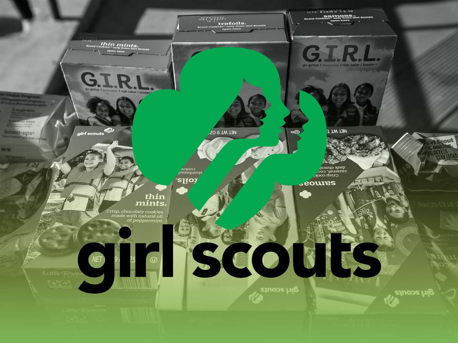 Girl Scouts Is Being Sued After Tests Find Cookies Allegedly Contain Heavy Metals and Pesticides