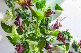Is It Safe to Eat Slimy Salad Greens?