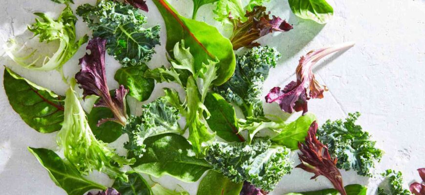 Is It Safe to Eat Slimy Salad Greens?