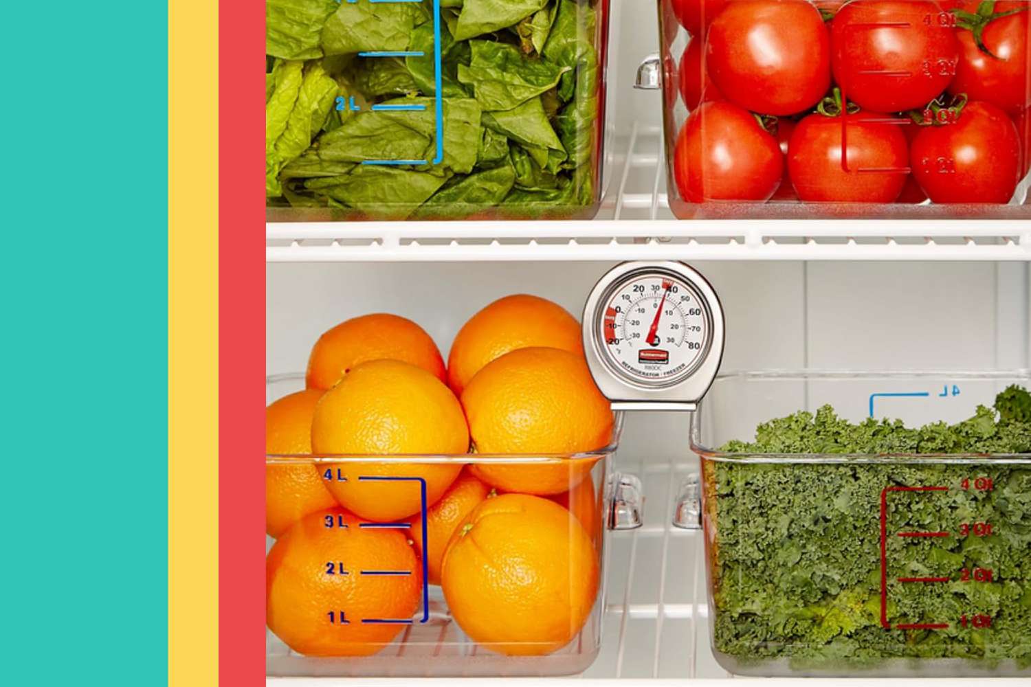 A New Study Says Your Fridge Could Be a Food Safety Hazard—This $8 Tool Solves the Problem