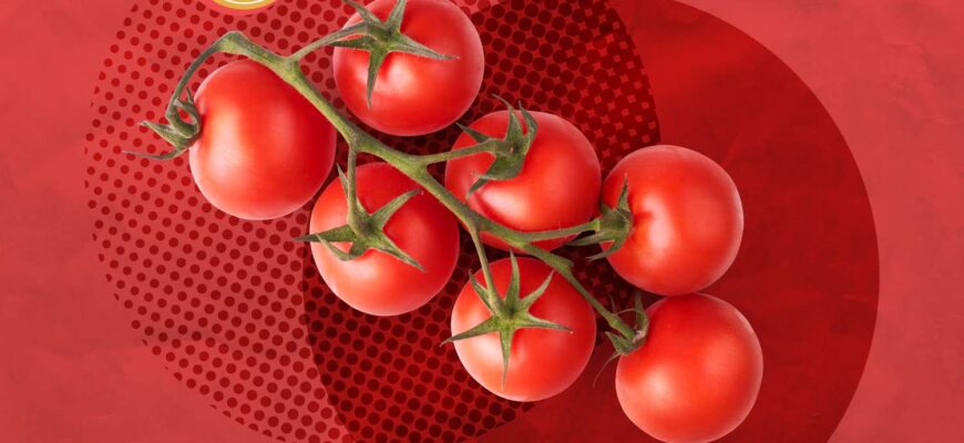 FDA Announces 2 Ongoing Recalls on Tomatoes Due To Potential Salmonella Contamination