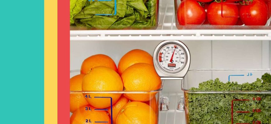 A New Study Says Your Fridge Could Be a Food Safety Hazard—This $8 Tool Solves the Problem